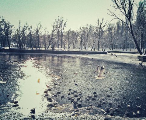 Iarna pe lac