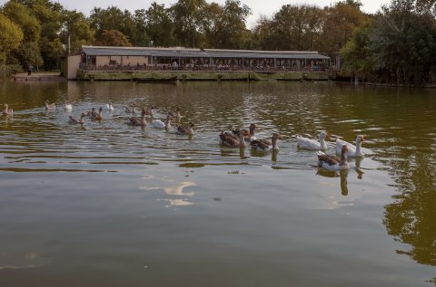 În Parcul Tineretului