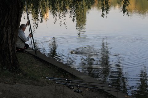 Răbdarea dă roade...