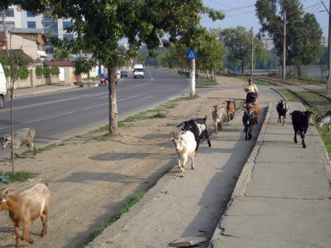 atmosfera de Bucuresti