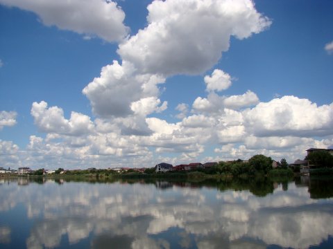 Cumulus humilis