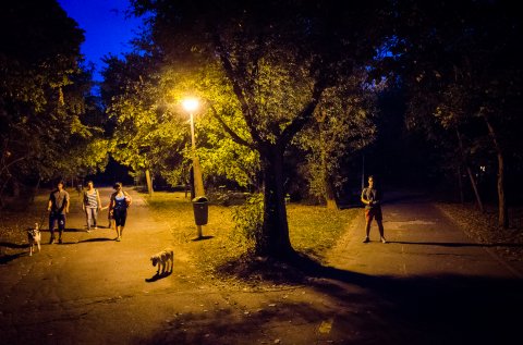 Seara in parcul Tineretului