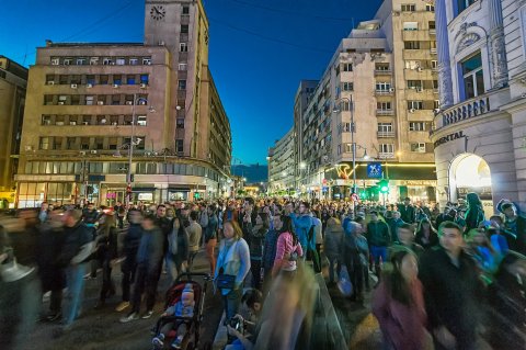 - Animalele sălbatice și argații agramați blochează traficul, nu oamenii și evenimentele culturale ! -