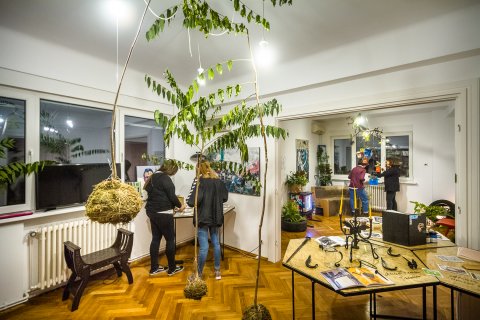 Insula 42 - Noaptea Caselor 2016