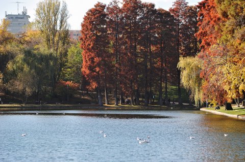 Toamna in parc