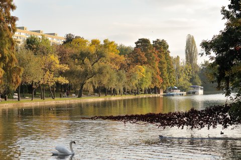 Parcul Alexandru Ioan Cuza