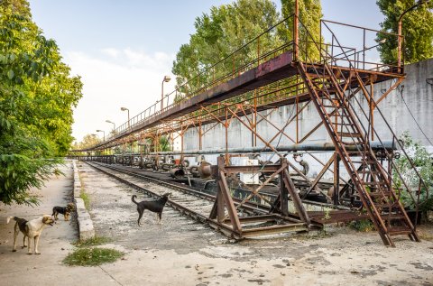 Statie transfer pacura - CET Grozavesti