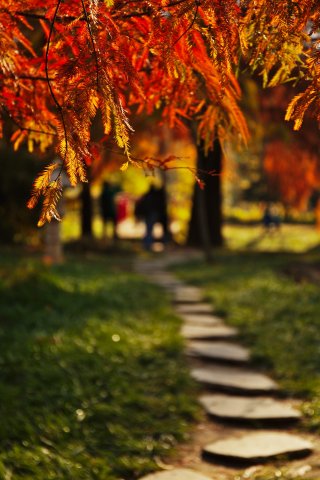 Toamna in Gradina Botanica