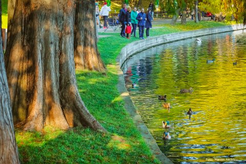 Din parcul Alexandru Ioan Cuza ( Titan / IOR )