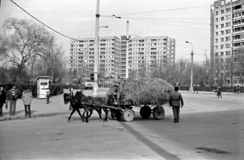 Căruță lângă piața Ion Șulea