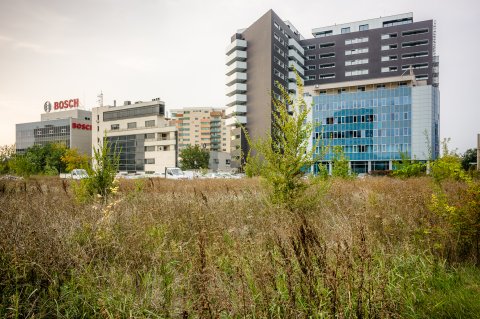 Maidan - Strada Ocna Sibiului