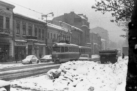 Tramvai linia 10 pe Calea Griviței