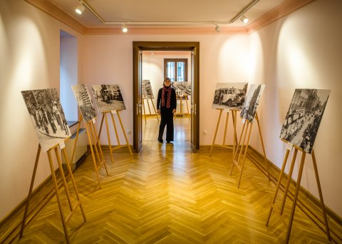 Expozitie - Casa Filipescu-Cesianu