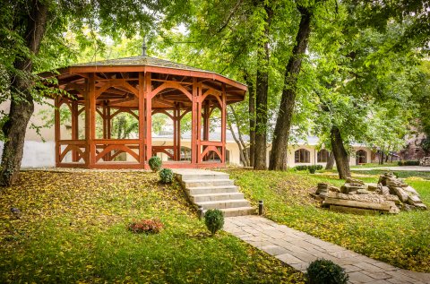 In gradina - Casa Filipescu-Cesianu