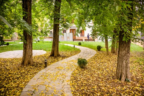 In gradina - Casa Filipescu-Cesianu