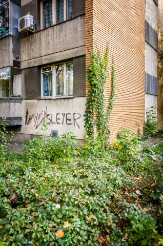 Graffiti - Strada Dezrobirii