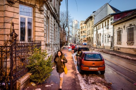 Brad abandonat dupa sarbatori - Strada Paleologu