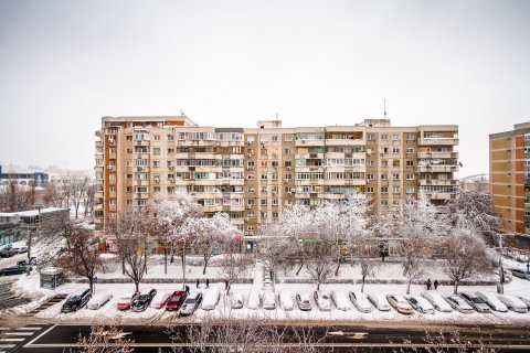 Iarna - Calea Vacaresti