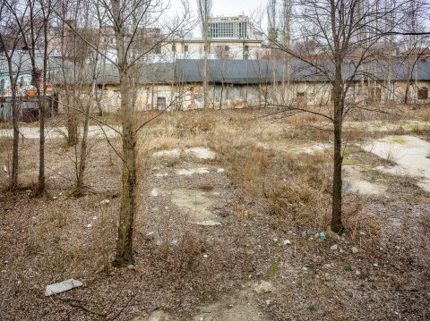 Maidan - Strada Berzei