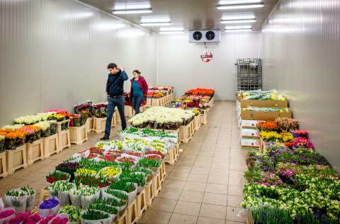 Interior - Piata de flori - Vama Antrepozite