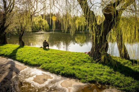 Primavara in parcul Tineretului