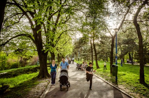 Alee - Parcul Circului