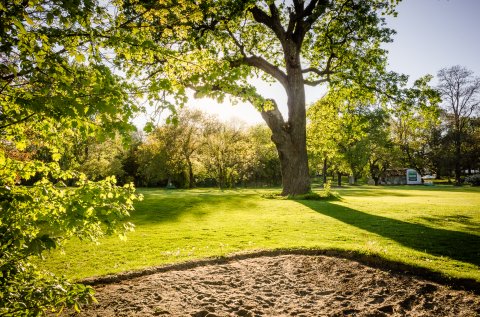 Teren de golf - Clubul Diplomatilor