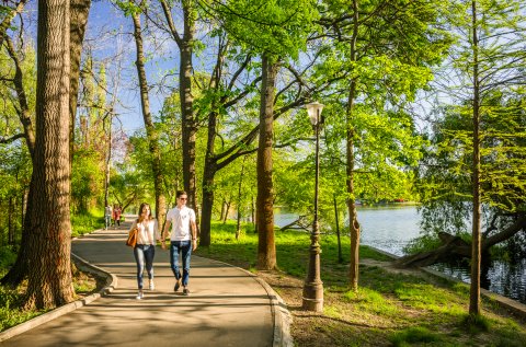 Alee - Parcul Herastrau