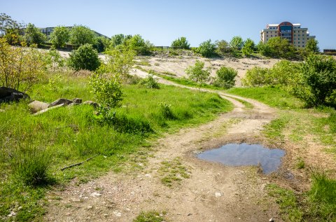 Poteca - Delta Vacaresti - Lacul Vacaresti