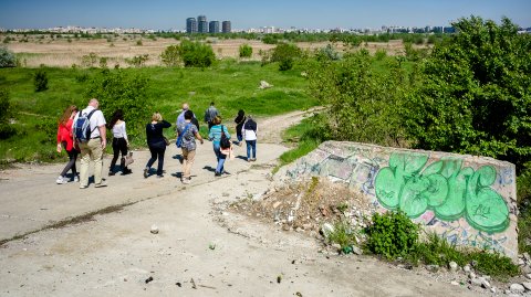 In excursie - Delta Vacaresti - Lacul Vacaresti