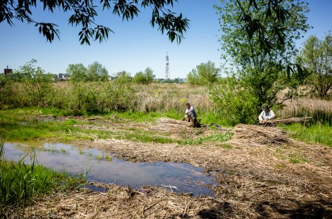 Mestesugari - Delta Vacaresti - Lacul Vacaresti