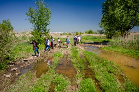 In excursie - Delta Vacaresti - Lacul Vacaresti