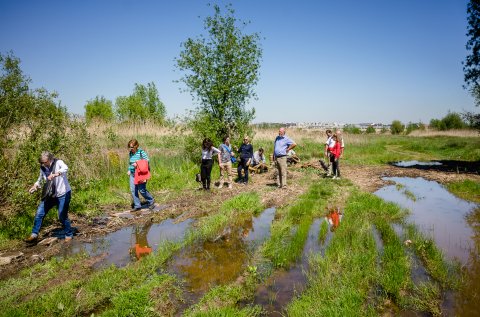 In excursie - Delta Vacaresti - Lacul Vacaresti