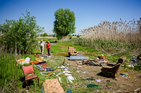 In excursie - Delta Vacaresti - Lacul Vacaresti