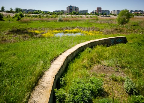 Structura de beton - Delta Vacaresti - Lacul Vacaresti