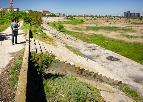 Ponton - Delta Vacaresti - Lacul Vacaresti