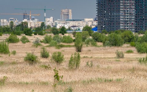 Privind spre centru - Delta Vacaresti - Lacul Vacaresti