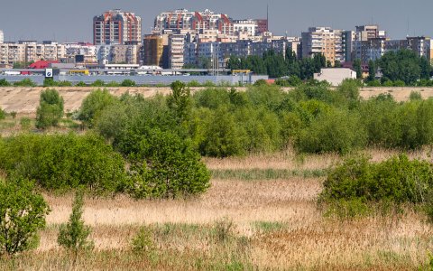 Privind spre Vitan - Delta Vacaresti - Lacul Vacaresti