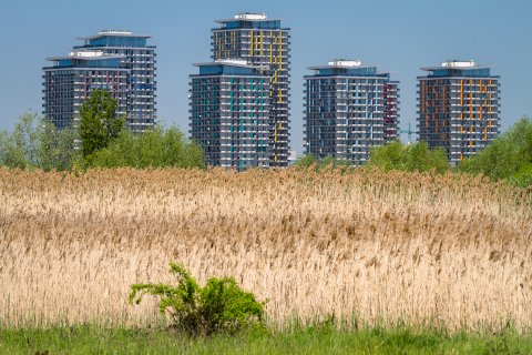 Asmita Gardens - Delta Vacaresti - Lacul Vacaresti