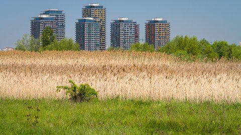 Asmita Gardens - Delta Vacaresti - Lacul Vacaresti