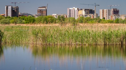 Orasul in constructie - Delta Vacaresti - Lacul Vacaresti