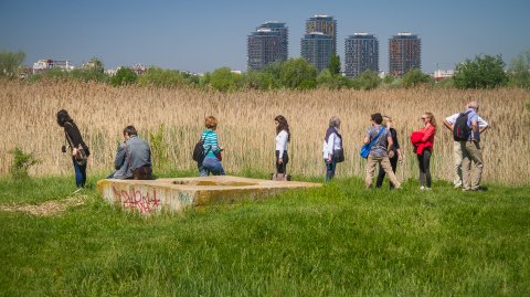 In excursie - Delta Vacaresti - Lacul Vacaresti