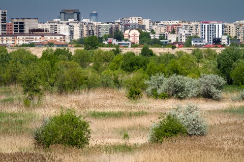 Delta Vacaresti - Lacul Vacaresti