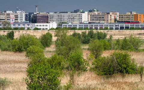 Delta Vacaresti - Lacul Vacaresti