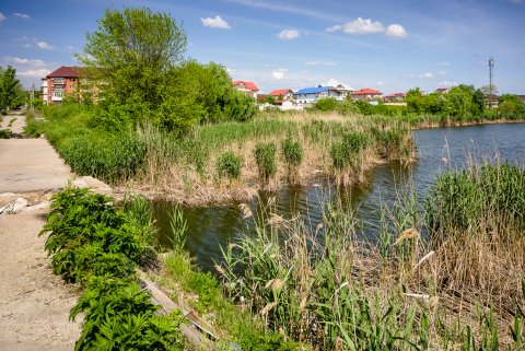 Pod spre o insula abandonata - Lacul Fundeni