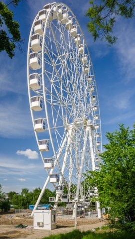 Roata - Parcul Tei