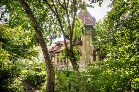 Casa Ion Voicu - Strada Toamnei