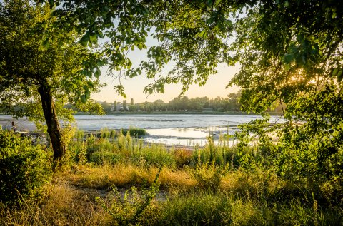 Lacul Floreasca - Calea Floreasca