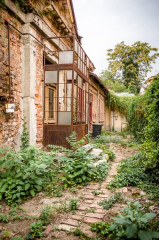 Curte abandonata - Strada Viitorului