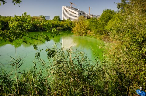 Ansamblul Belvedere - Strada Campul Pipera